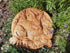 Hare Wooden Carved Plaque 183