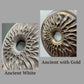 Handcarved Wooden Iris Wall Art – Organic Eye-Inspired Decor for Modern Interiors