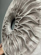 Handcarved Wooden Iris Wall Art – Organic Eye-Inspired Decor for Modern Interiors