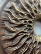 Handcarved Wooden Iris Wall Art – Organic Eye-Inspired Decor for Modern Interiors