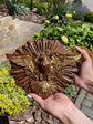 Holy Spirit Dove