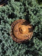 Moon and Sun Wooden Wall Art - Kozak Work Shop