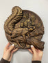 Squirrel Wood Carved Plaque - Kozak Work Shop