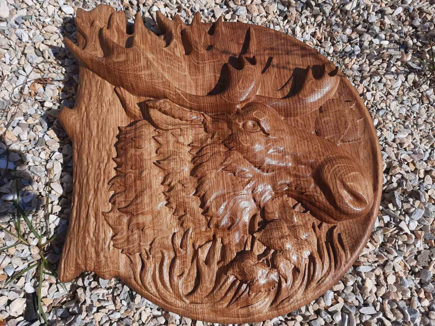 Moose Head Wooden Carved Plaque 248