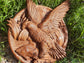 Hawk Wooden Carved Plaque 303