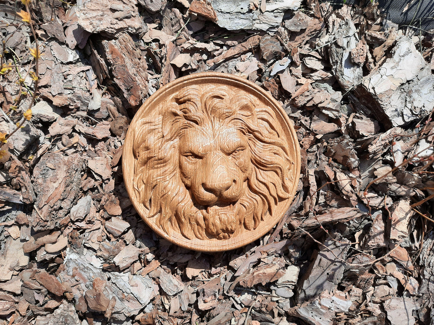 Lion Head Wooden Carved Plaque 56